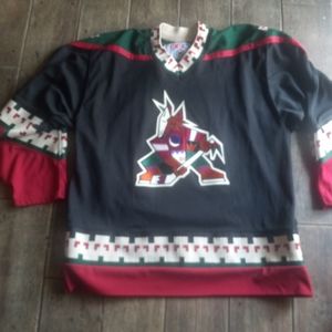Phoenix Coyotes NHL Jersey